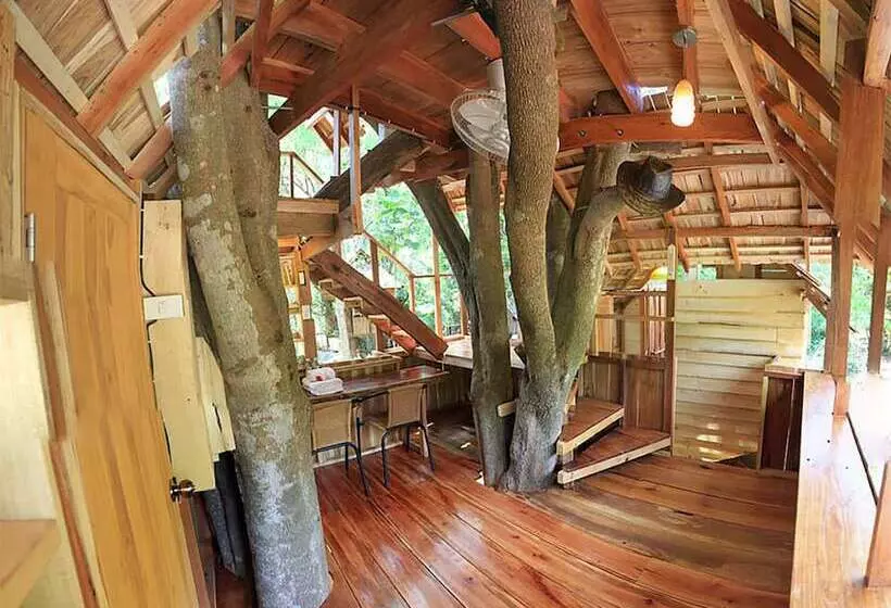 ホテル Rabeang Pasak Treehouse Resort