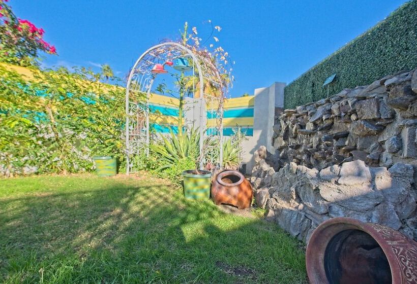 Motel Inn At Palm Springs