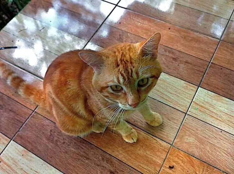 پانسیون Lanta Maikeaw Bungalow