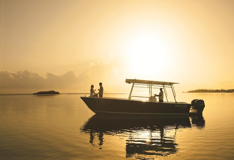 استراحتگاه Zoetry Montego Bay