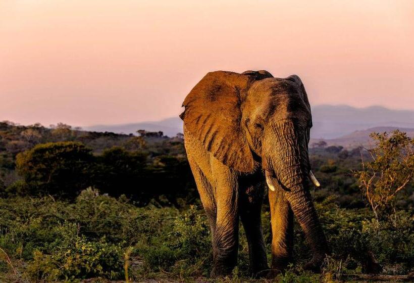 Bed and Breakfast At Heritage House