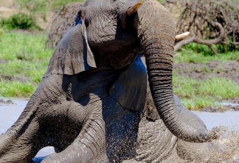 Bed and Breakfast At Heritage House