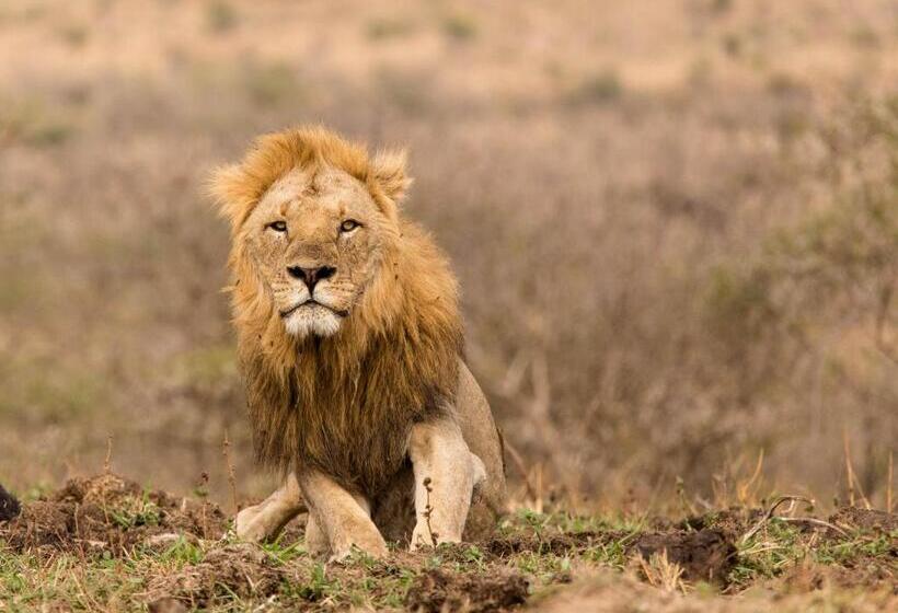 Bed and Breakfast At Heritage House