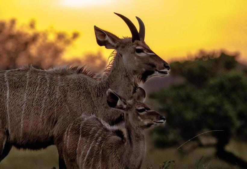 Bed and Breakfast At Heritage House