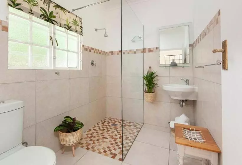 ベッドアンドブレックファースト Cliff Cottage Hermanus