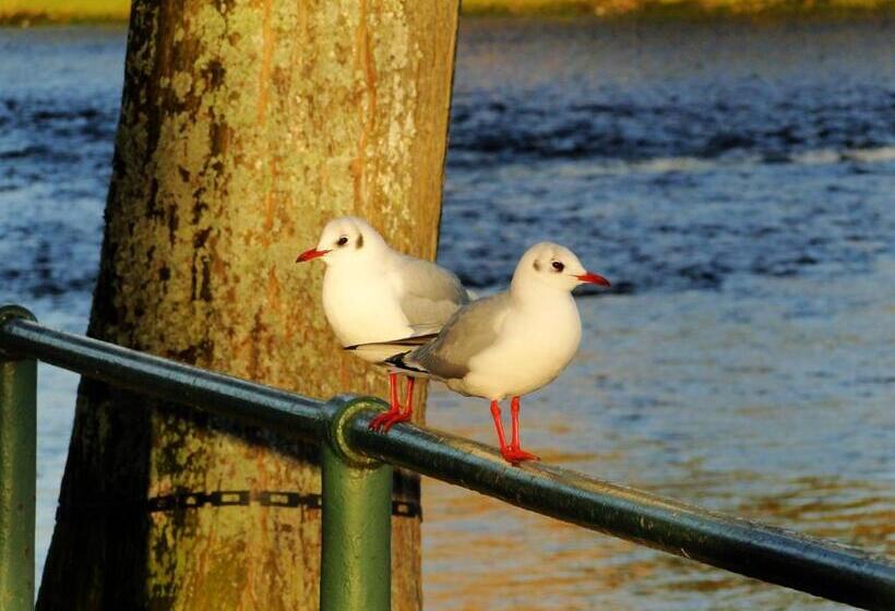 تختخواب و صبحانه Park Guest House