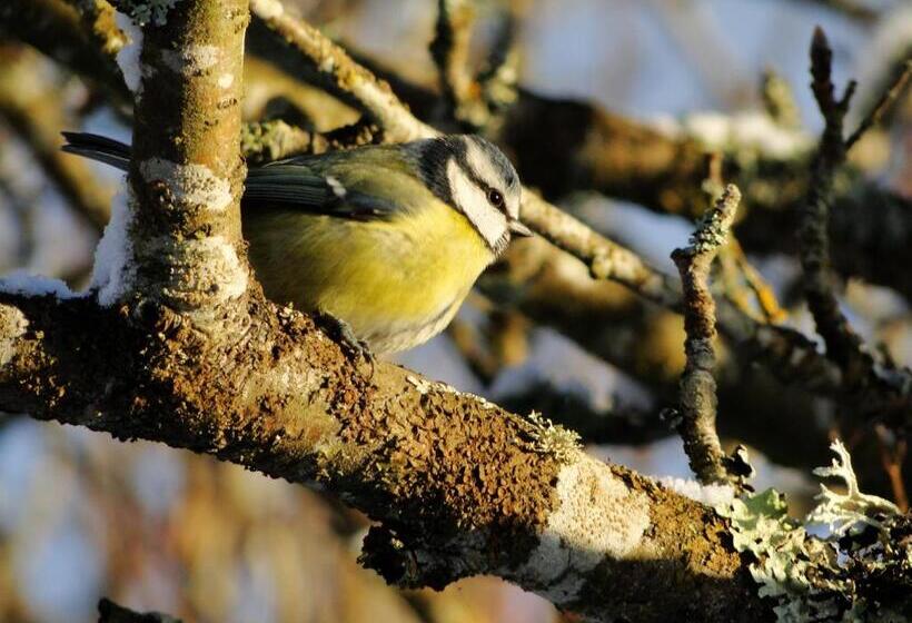 تختخواب و صبحانه Park Guest House