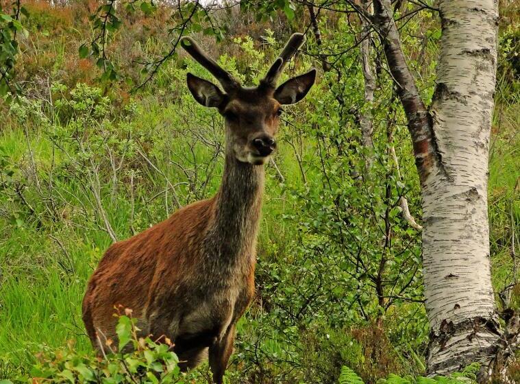 تختخواب و صبحانه Park Guest House