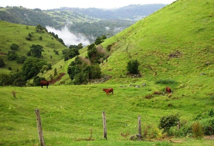 住宿加早餐  Top Of The Hill