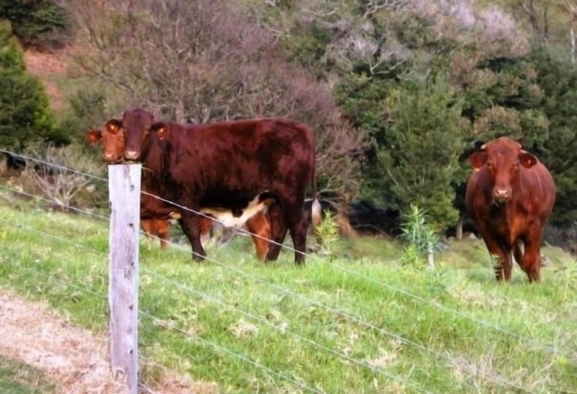 住宿加早餐  Top Of The Hill
