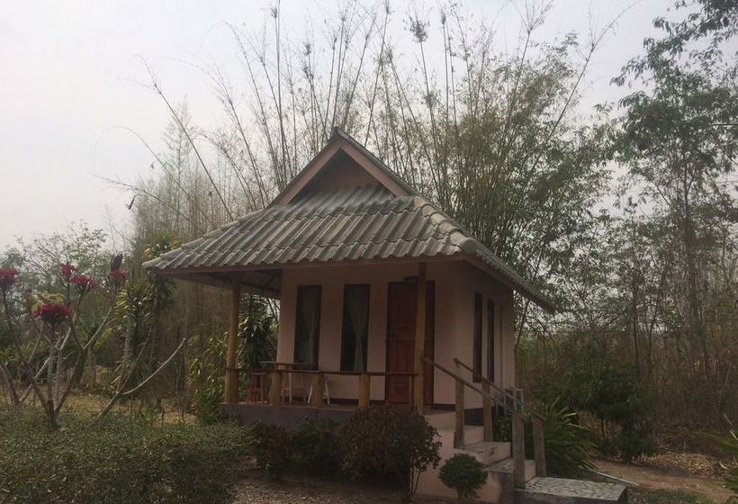 Hotel Baan Suan Violin