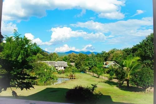 Hotel Baan Suan Violin