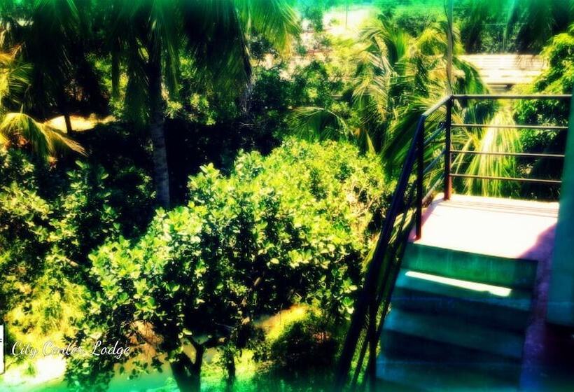 בית מלון כפרי City Center Lodge