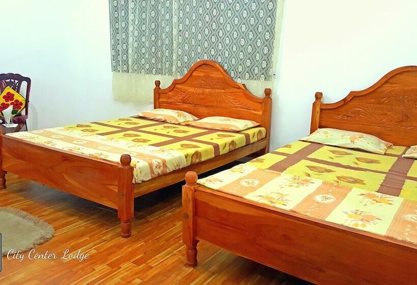 בית מלון כפרי City Center Lodge