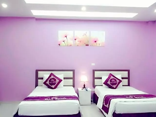 هتل Elly
