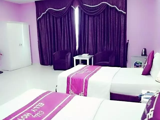 هتل Elly