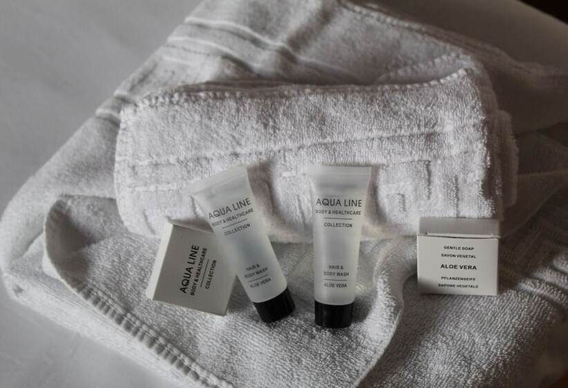 בית מלון כפרי Irish College Leuven