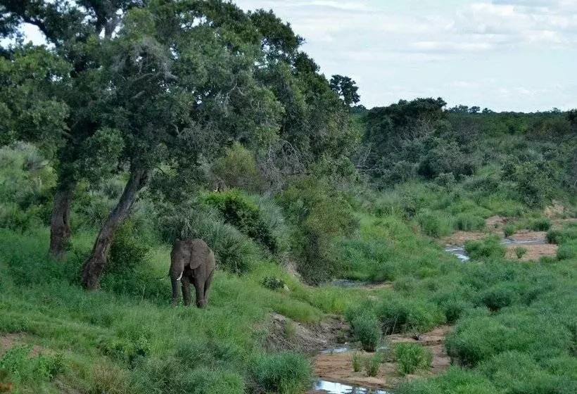 ホテル Tingala Lodge
