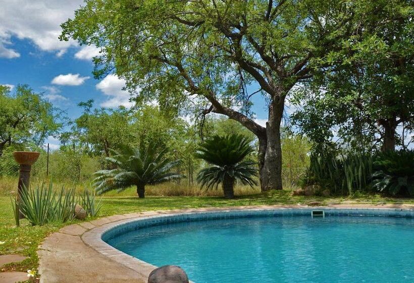 ホテル Tingala Lodge