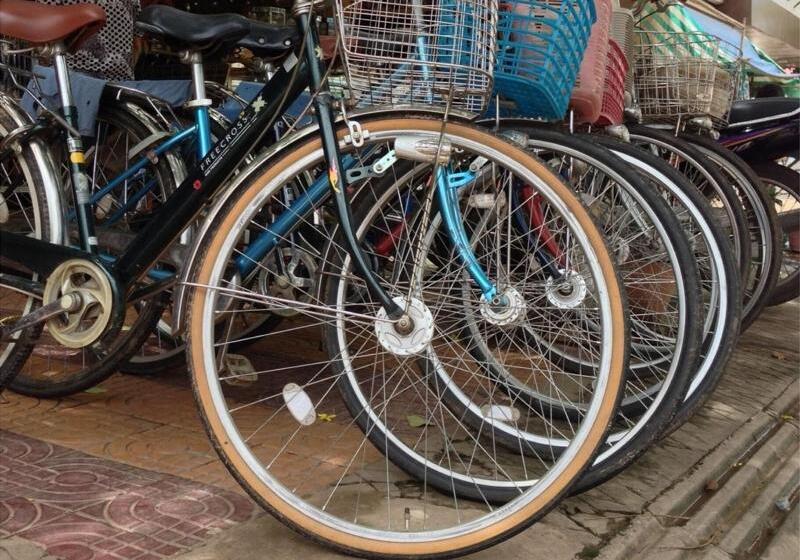 فندق Vibola Guesthouse