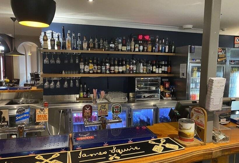 מוטל Royal Hotel Singleton