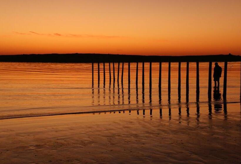 פנסיון Albatross Guesthouse