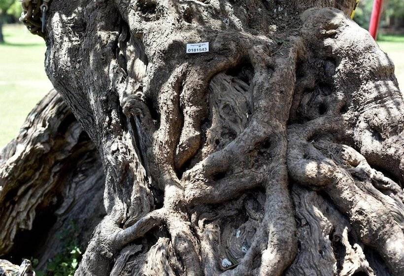 Agriturismo Santa Chiara