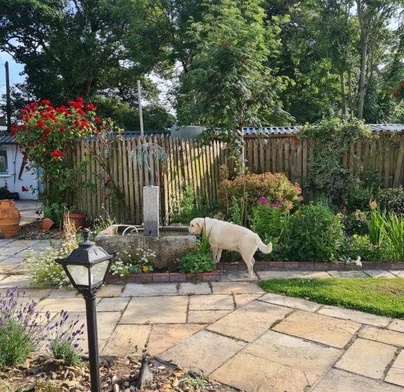 Bed and Breakfast Brookvale