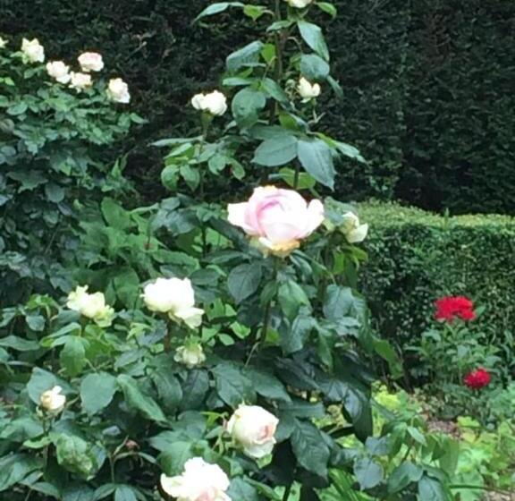 Bed and Breakfast Hof Ter Beuke