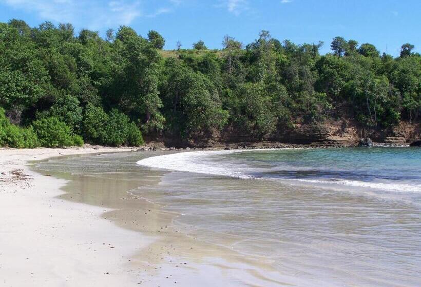 هتل Two Bays Beach Villa Apartment And Studios