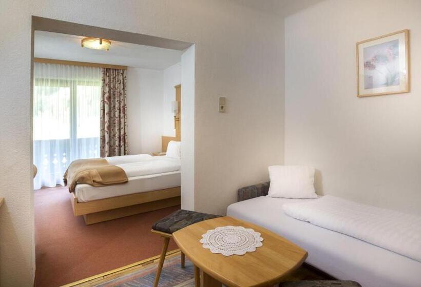 Alpenhotel Badmeister