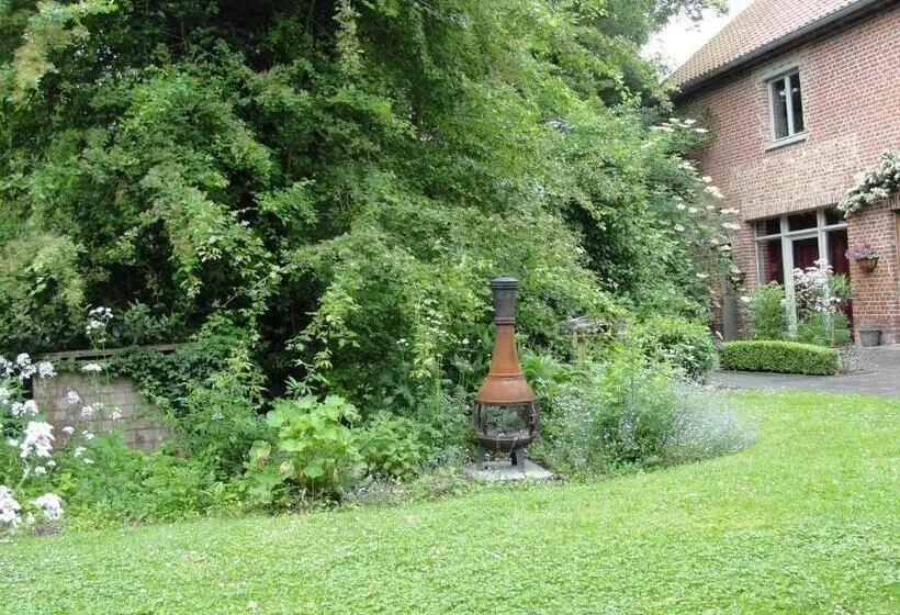 B&b Hedera