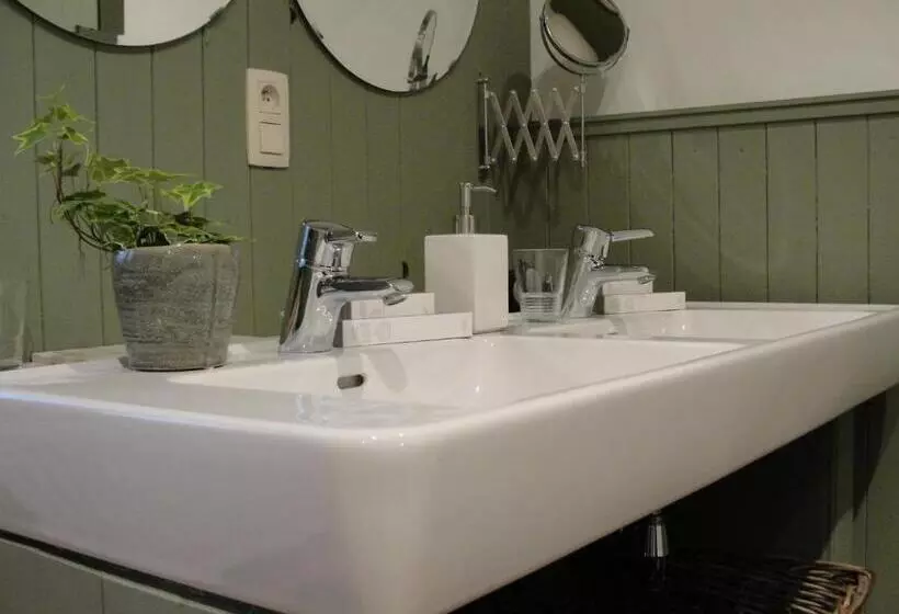 B&b Hedera