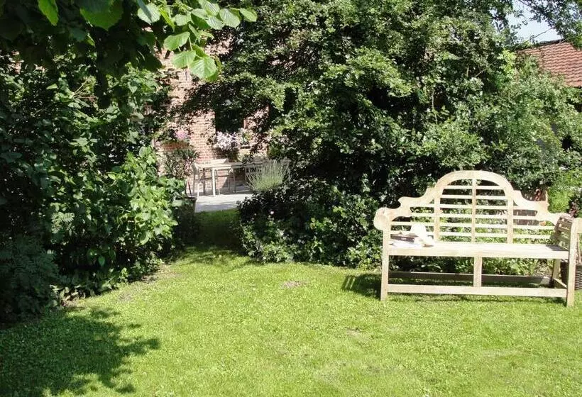 B&b Hedera