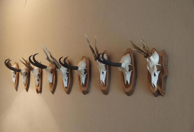 مبيت وإفطار Pension Alpenhof