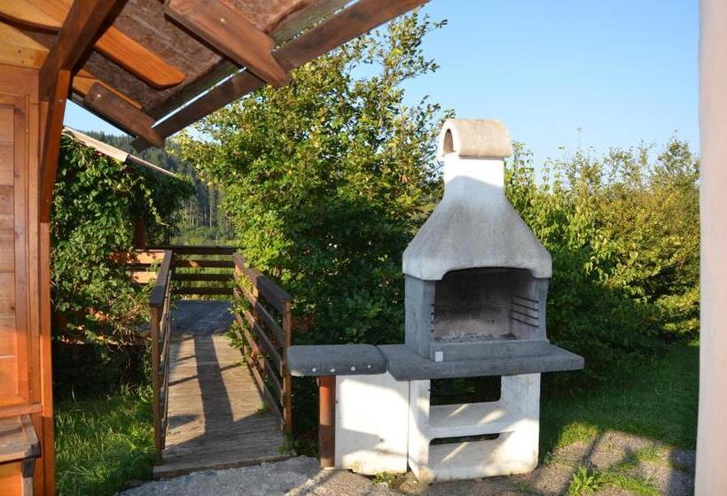 住宿加早餐 Pension Zum Schreiner