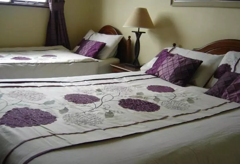 Bed & Breakfast Springlawn