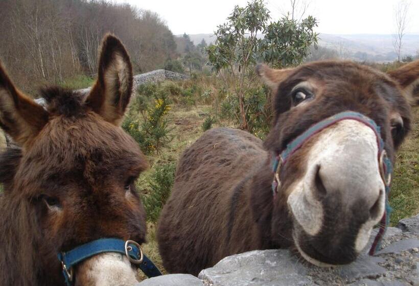 צימר Tullaleagan Guesthouse