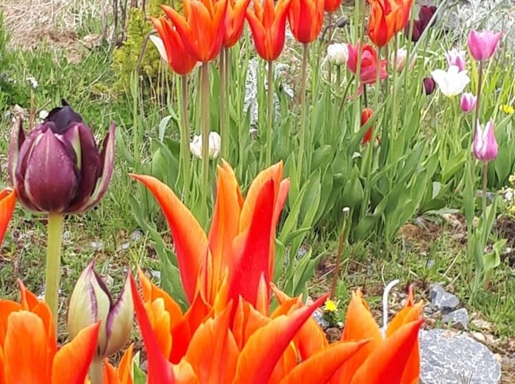 צימר Tullaleagan Guesthouse