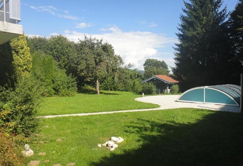 住宿加早餐 Villa Viola