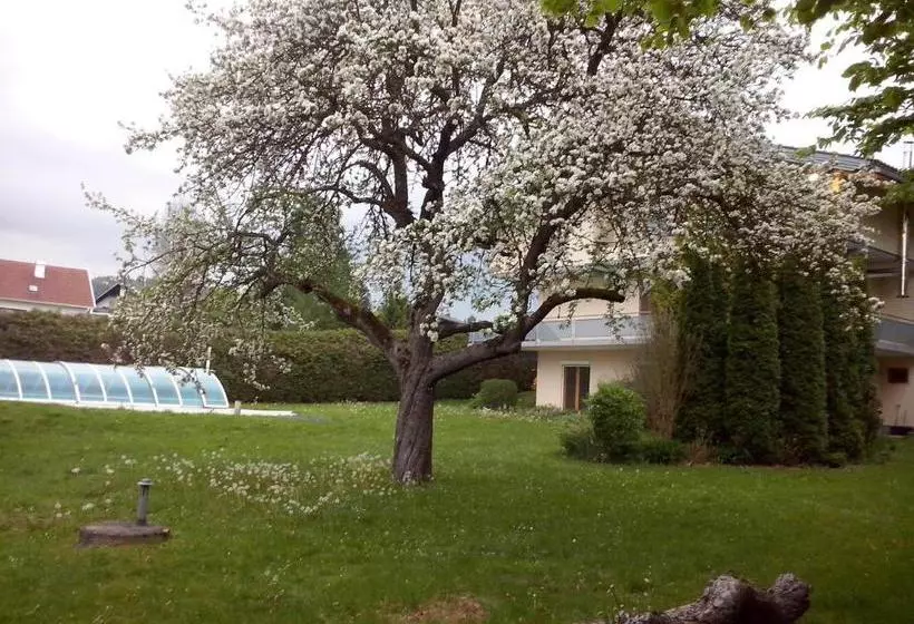Aamiaismajoitus (B&B) Villa Viola