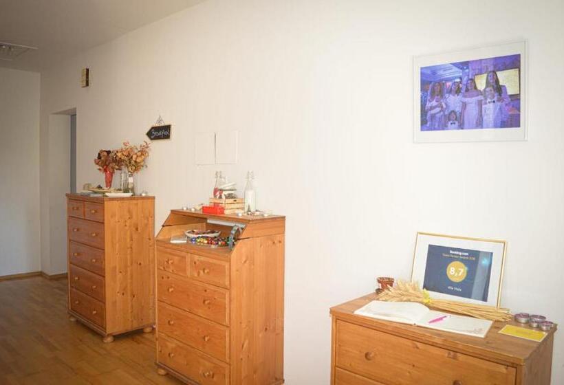 住宿加早餐 Villa Viola