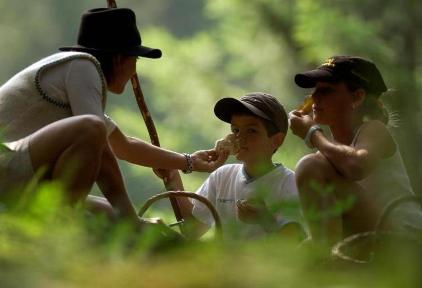 בית מלון כפרי Alpenresort Walsertal