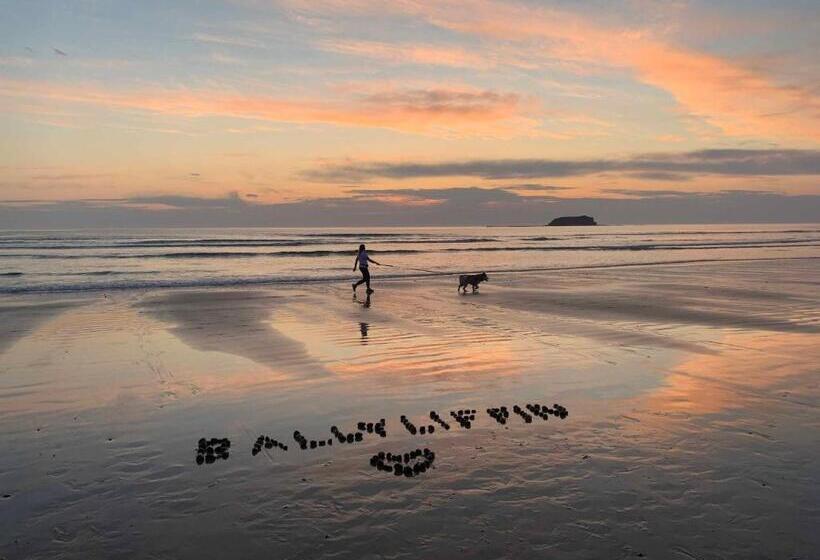 Отель Ballyliffin Townhouse Boutique