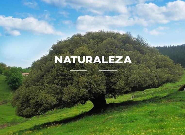 Отель Garaiko Landetxea