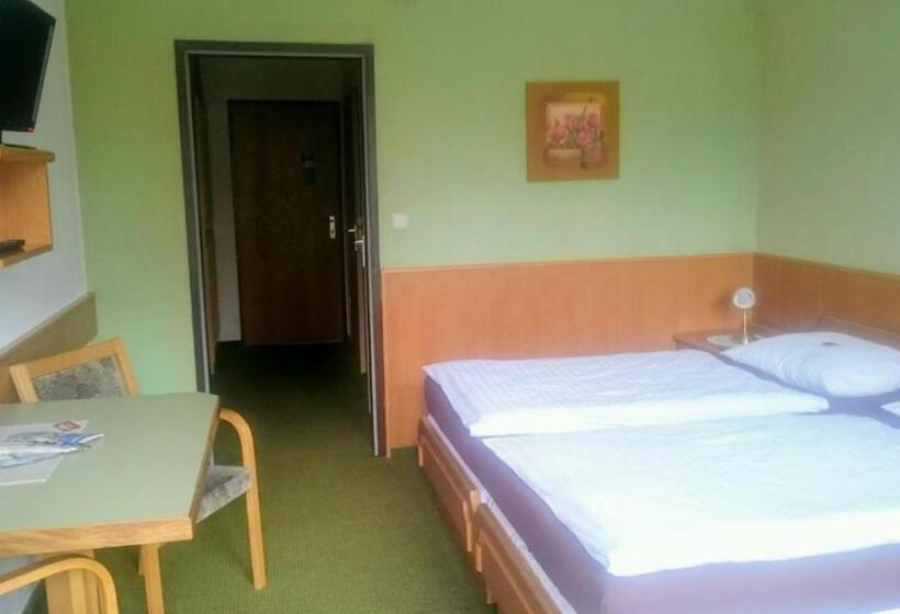 Отель Pension Frühwirth