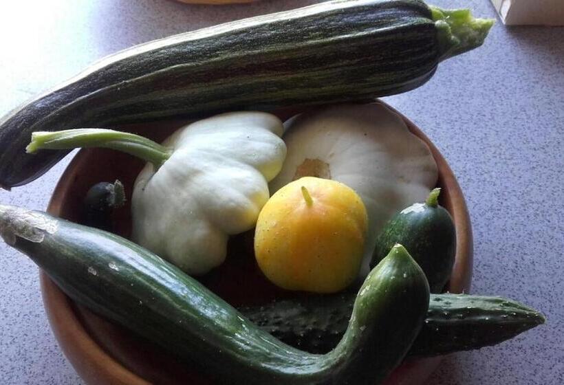 Отель Pension Frühwirth