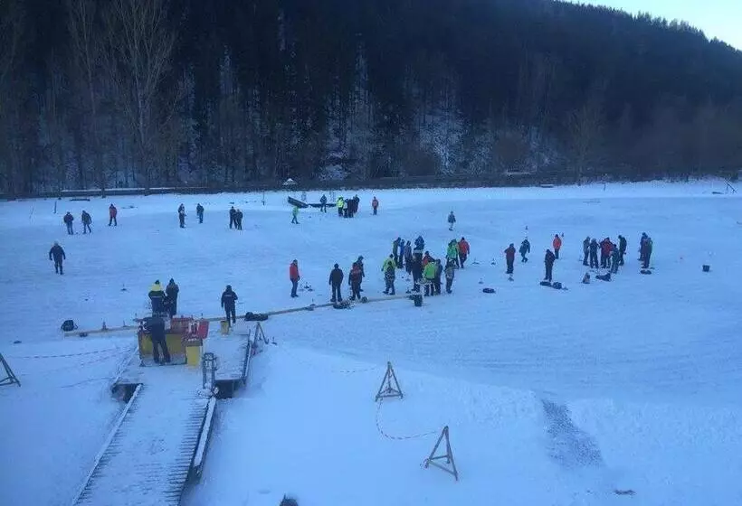 ホテル Seegasthof Breineder   Familien & Seminar