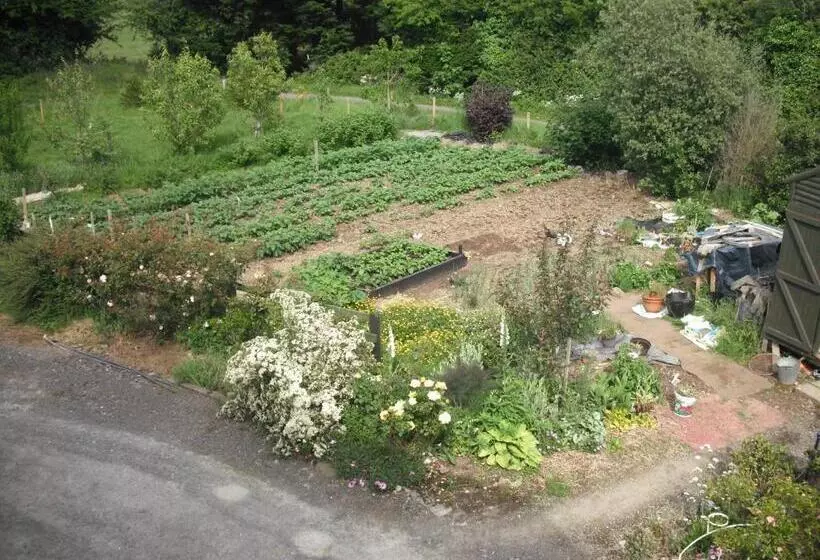 The Well Meadow B&b