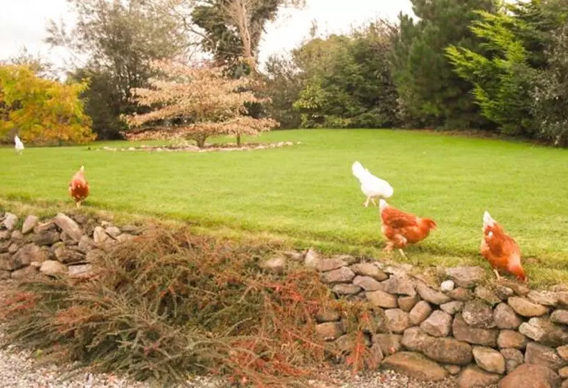 The Well Meadow B&b
